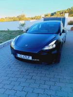 tesla-model-3-standard-range-2021-eletrico