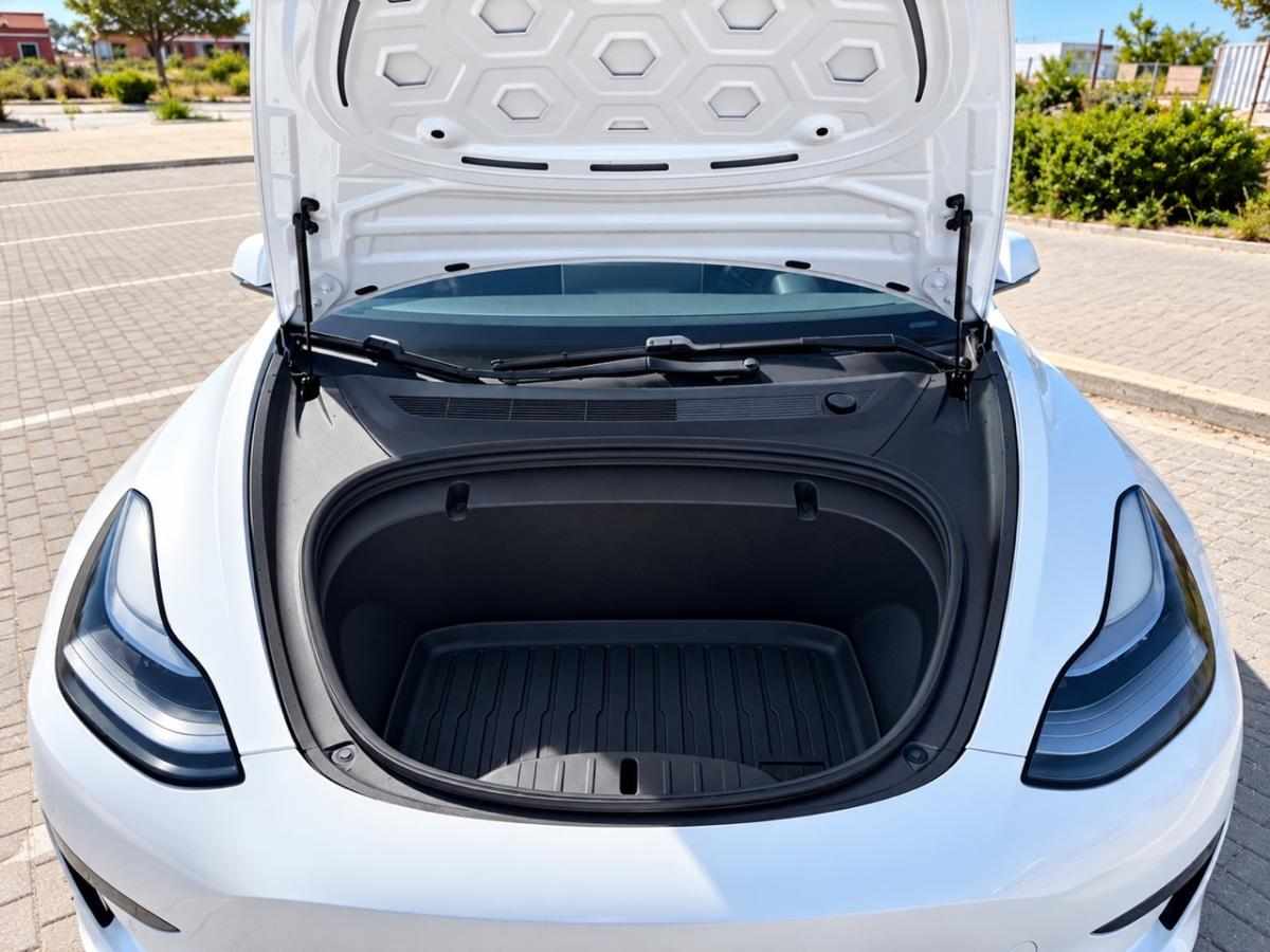 tesla-model-3-standard-range-2020-eletrico