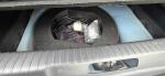 opel-corsa-1-2-turbo-2021-gasolina-1199cc