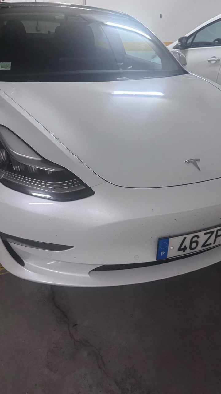 tesla-model-3-performance-2019-eletrico