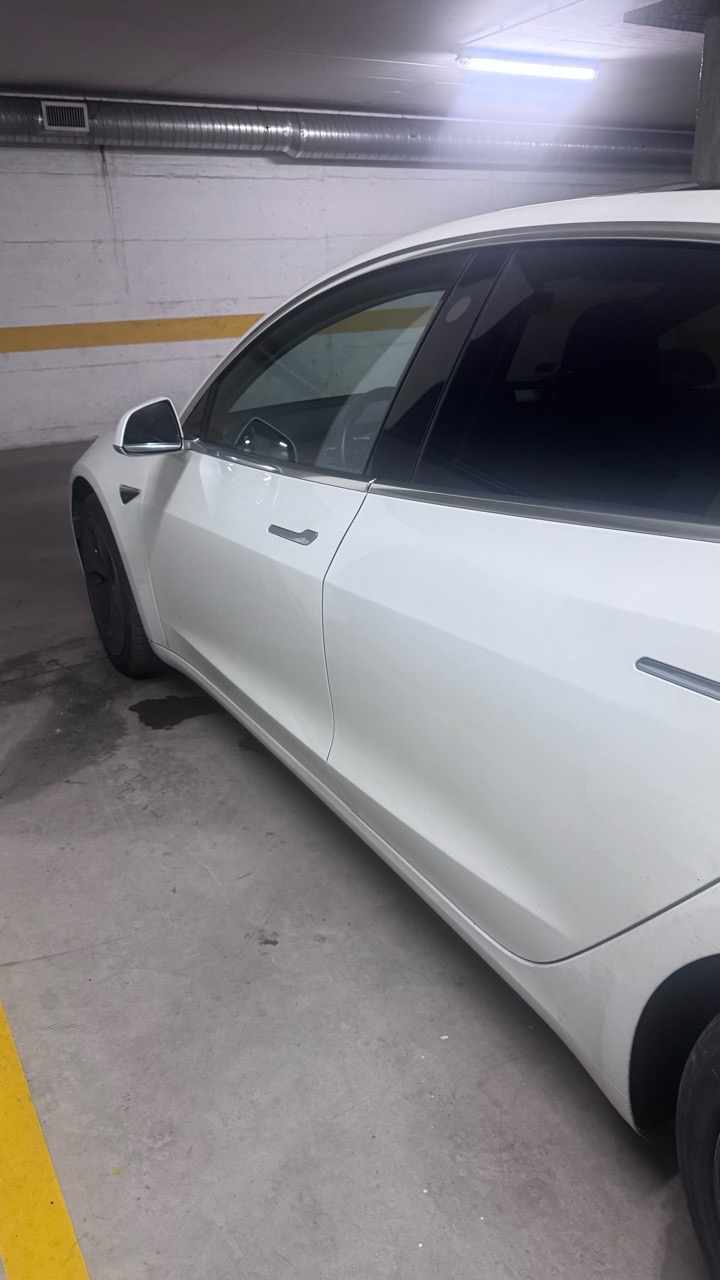 tesla-model-3-performance-2019-eletrico