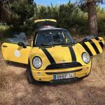 mini-hatch-1-6-2002-gasolina-1598cc