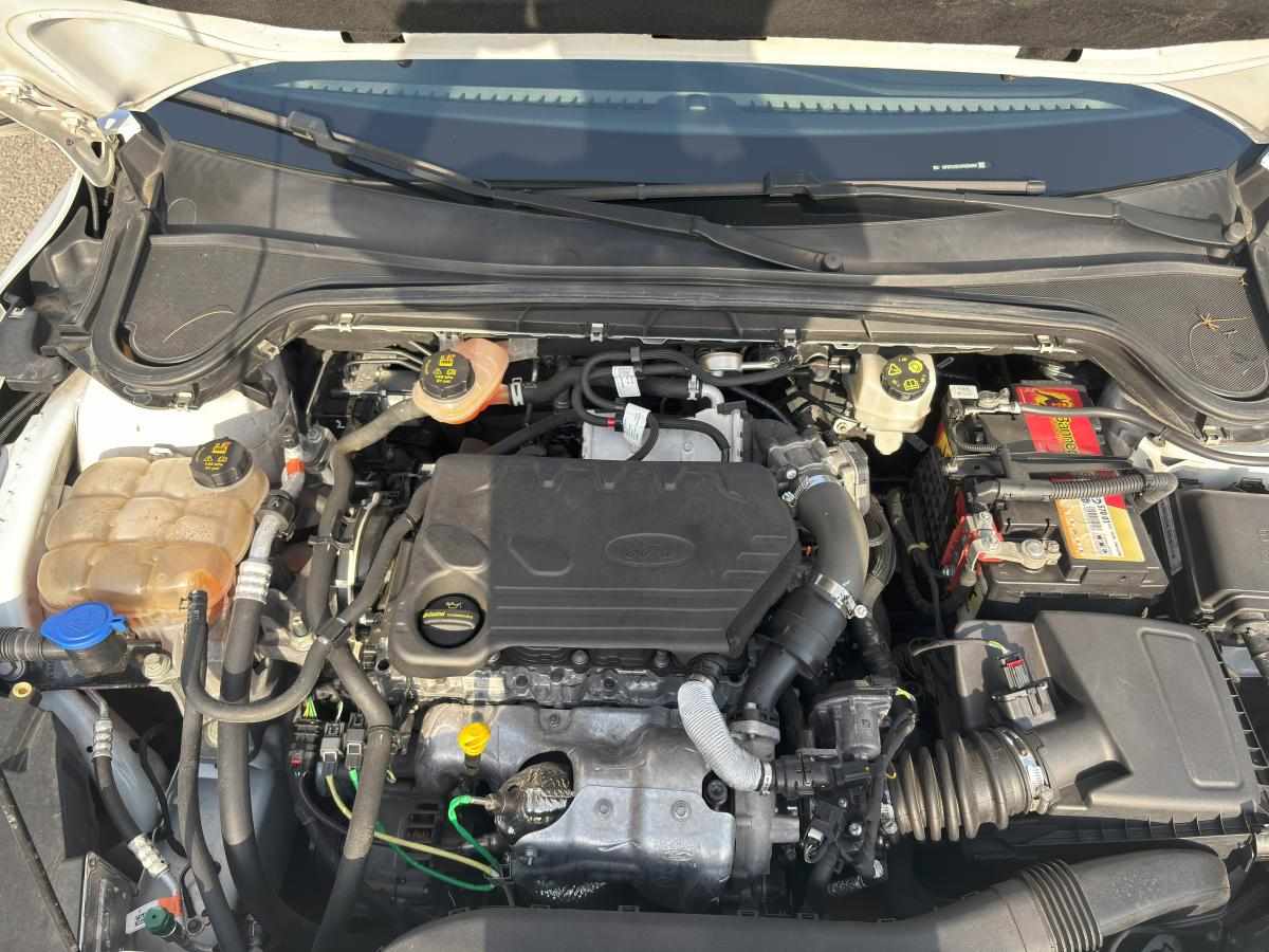 ford-focus-1-5-ecoblue-2019-diesel-1500cc