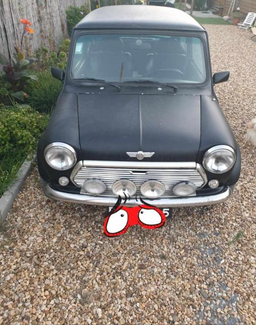 mini-cooper-1300-1993-gasolina-1274cc