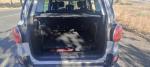 fiat-500l-1-6-multijet-2017-diesel-1598cc