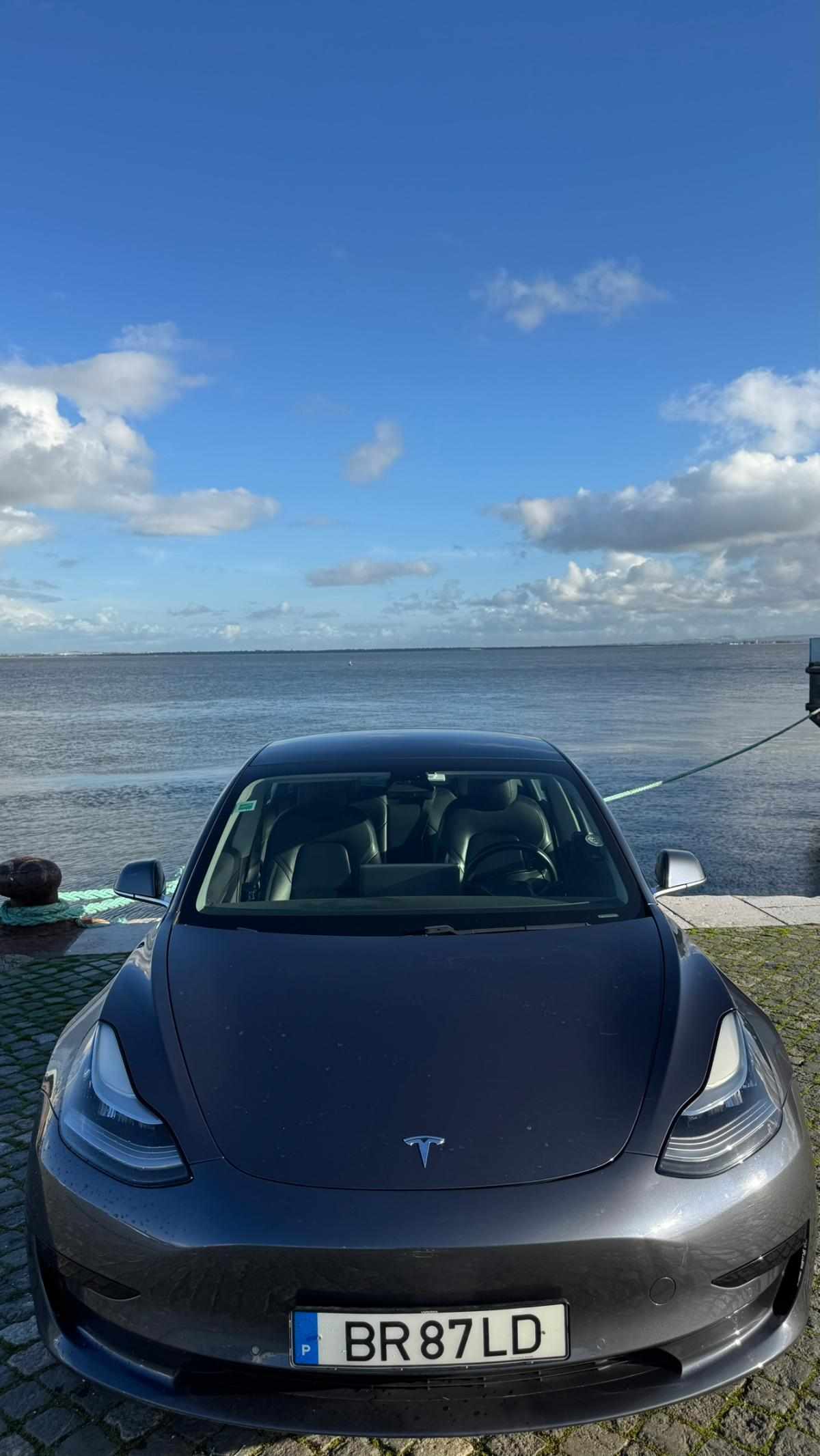 tesla-model-3-standard-range-2019-eletrico